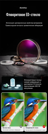 Бинокль Eyeskey Stellar - 10x42 EyeS-B155 от прозводителя Eyeskey