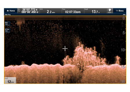 RAYMARINE Downvision Sonar Module CP100 E70204 от прозводителя Raymarine