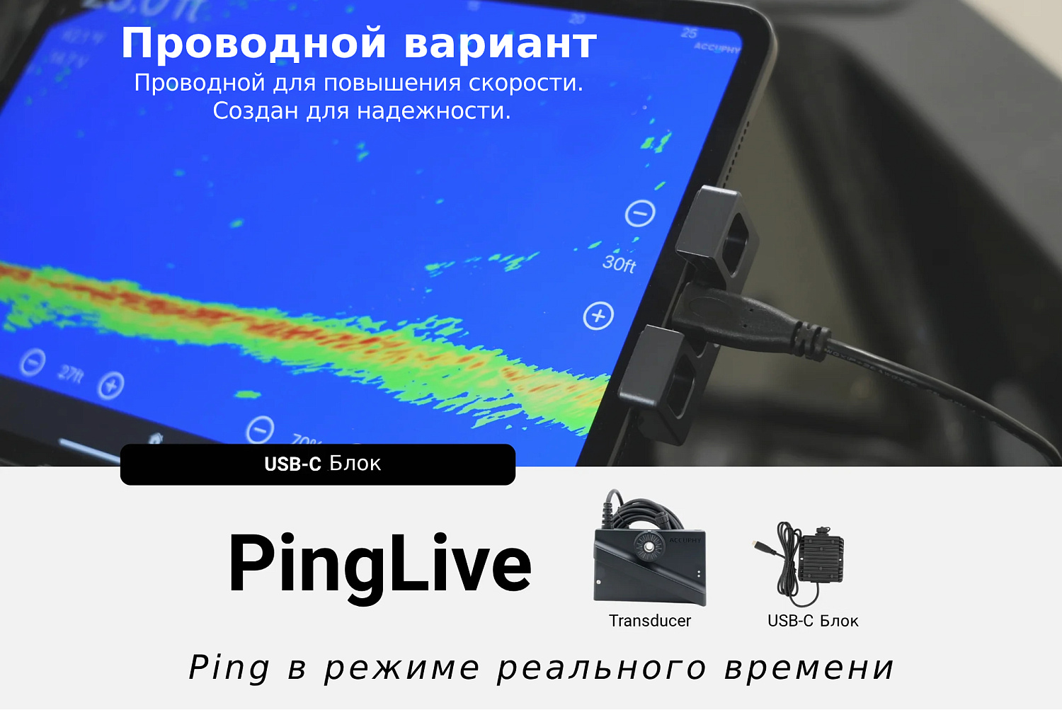 Accuphy PingLive Sonar