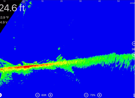 Accuphy PingLive Sonar APL от прозводителя ACCUPHY