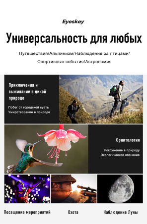 Бинокль Eyeskey Stellar - 10x42 EyeS-B155 от прозводителя Eyeskey