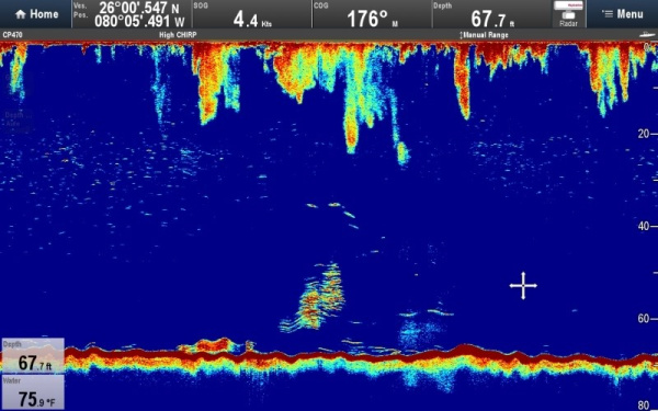 Raymarine CP470 E70298 от прозводителя Raymarine
