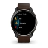 Garmin Venu 2 Plus - 43 мм Премиум-функции | Silver Stainless Steel Bezel With Powder Grey Case And Silicone Band